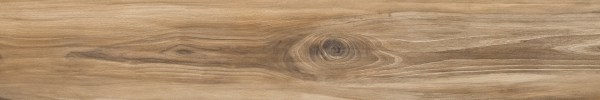 ascot/natural/ascot-natural-noce-europeo-20x120