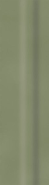 product2/paradyz/greenphilosophy/paradyzgreenphilosophyolive8x298