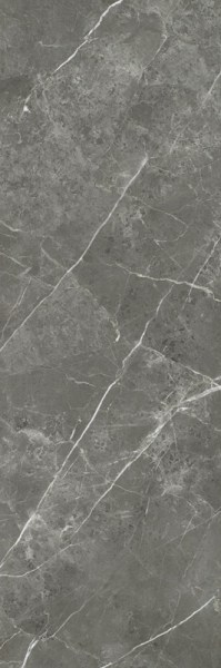 product2/paradyz/noisywhisper/paradyznoisywhispergraphite398x1198
