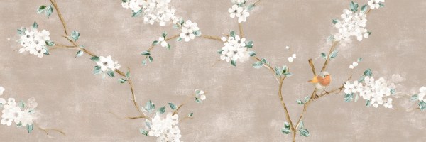 product2/ragno/mixed/ragnomixedra2c