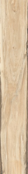 rondine/sherwood/rondinesherwoodmaple24x150